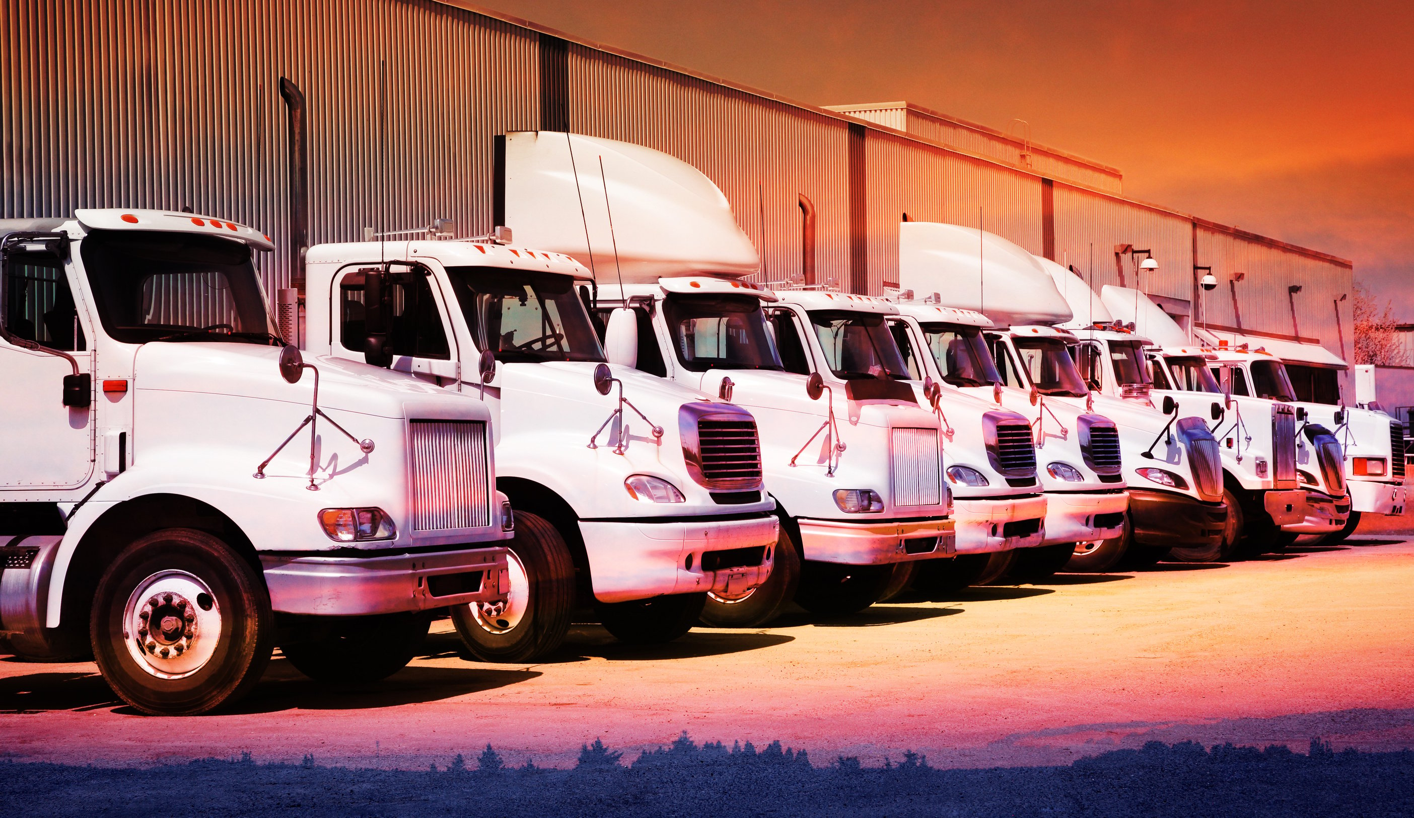 Industrial Truck Fleet